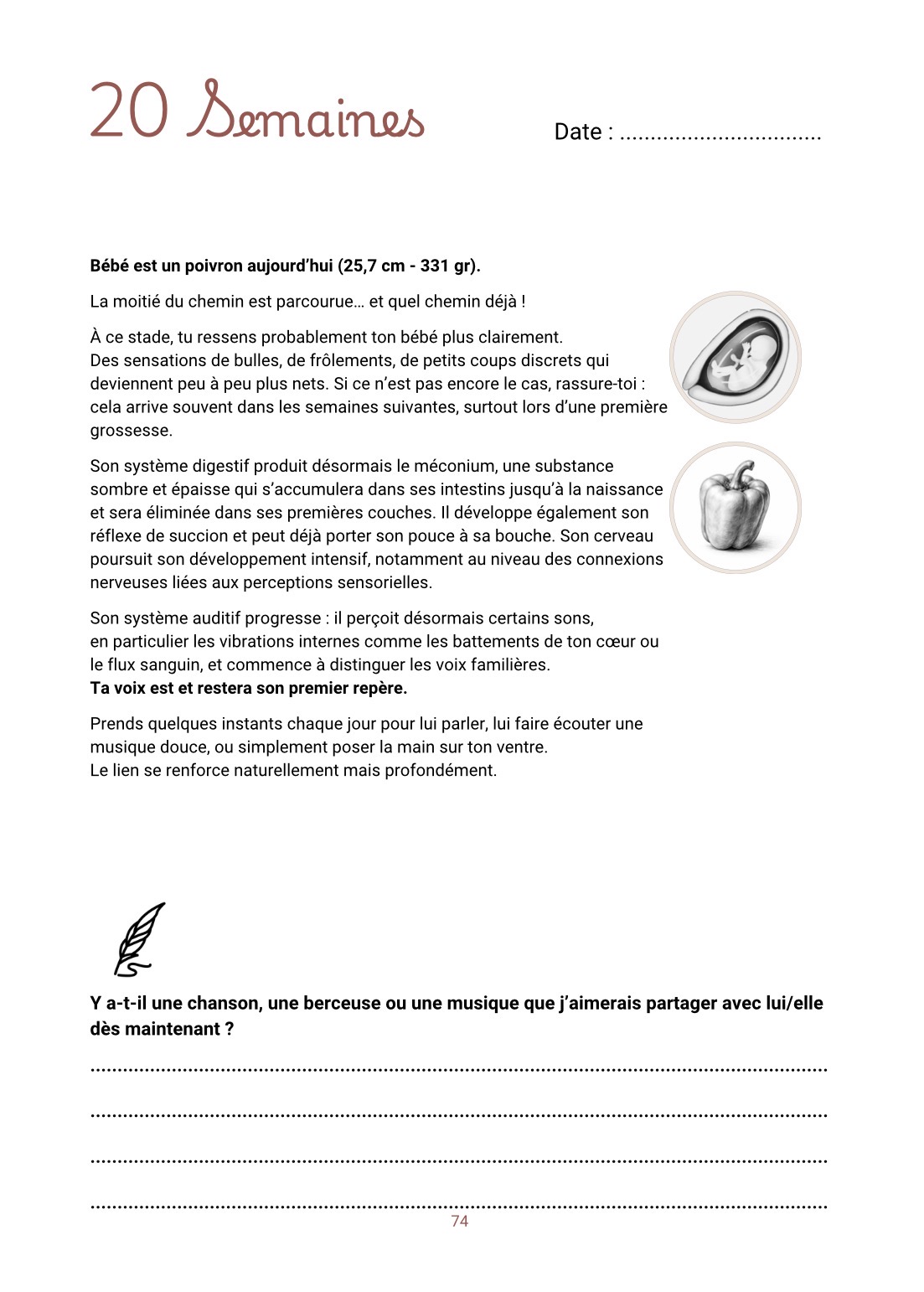 La grossesse, semaine après semaine — extrait du livre MATRE-SENS